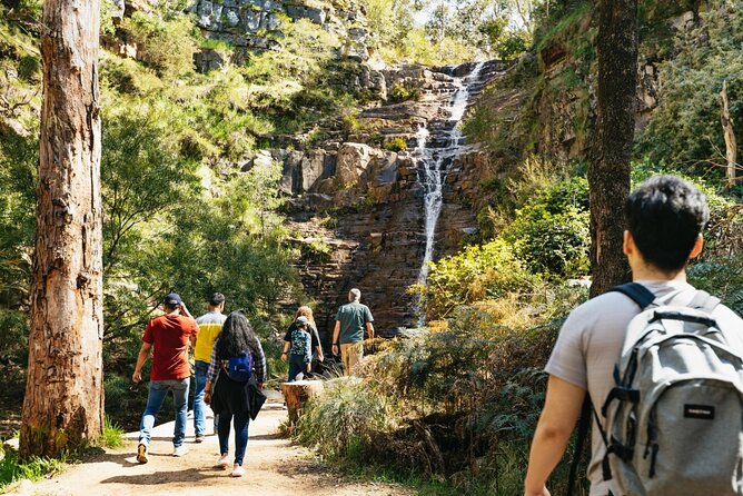 Grampians National Park Small-Group Eco Tour from Melbourne - Key points before you book