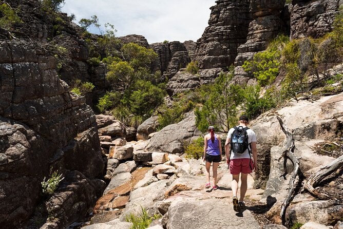 Grampians National Park Small-Group Eco Tour from Melbourne - Why this long day works from Melbourne