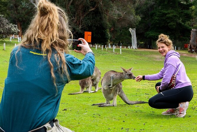 Grampians National Park Small-Group Eco Tour from Melbourne - The Wonderland Loop and Grand Canyon walk