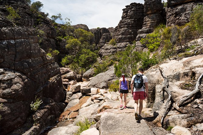 Grampians National Park with MacKenzie Falls and Kangaroos - The guides shape the experience