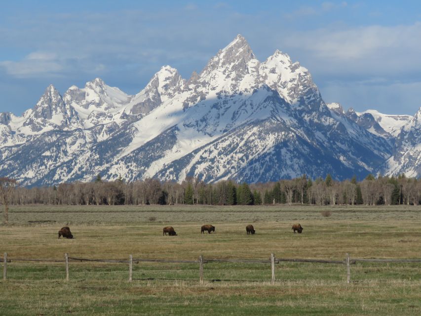 Grand Teton National Park: Full-Day Tour with Boat Ride - Signal Mountain and Moose Wilson Road