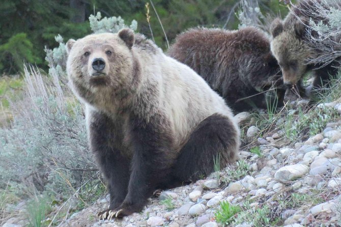 Grand Teton National Park - Sunrise Tour from Jackson Hole - Who should book this Grand Teton sunrise outing?