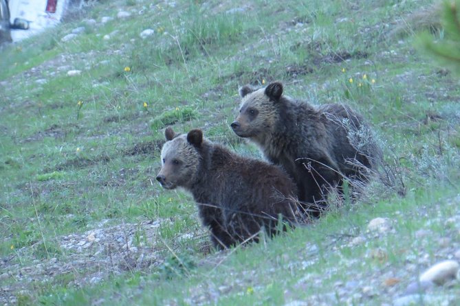 Grand Teton National Park - Sunrise Tour from Jackson Hole - Mormon Row and the first big Teton views