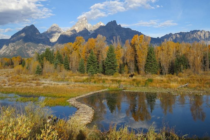 Grand Teton National Park - Sunset Guided Tour from Jackson Hole - Oxbow Bend is the strongest wildlife stop