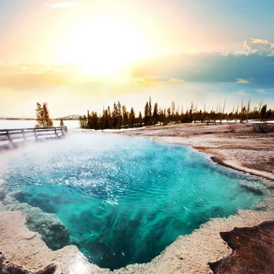 Grand Teton,Yellowstone National Park 3-Day Tour from SLC - The extra national park charge for non-US residents