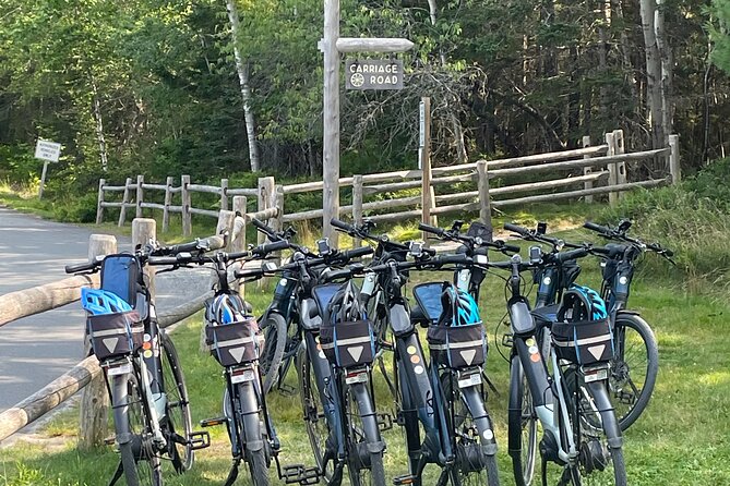 Guided Ebike Tour of Acadia National Park Carriage Roads - The beaver pond and four miles toward Eagle Lake