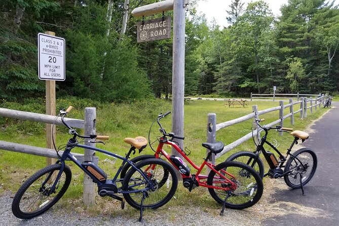 Guided Ebike Tour of Acadia National Park Carriage Roads - What the guides add to the ride