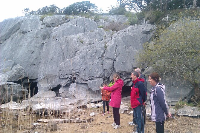 Guided Killarney National Park Walking Tour - Crossing From Town Into Killarney National Park