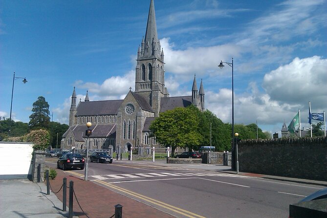 Guided Killarney National Park Walking Tour - Deer, Birds, Cattle, and the Quiet Rewards