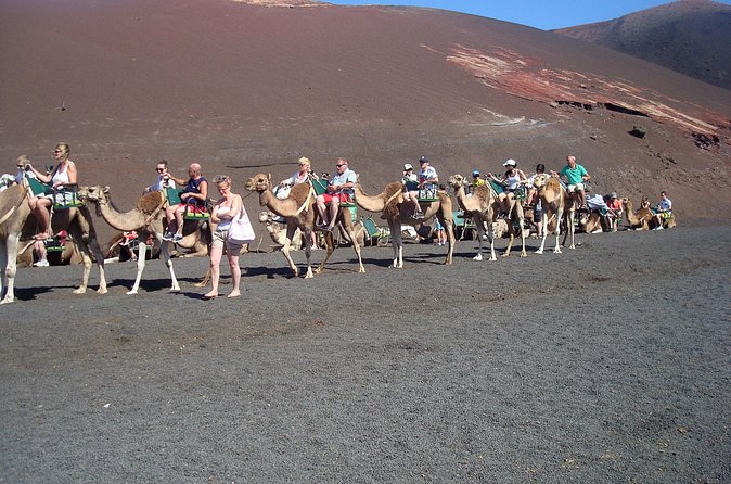 Guided tour: Timanfaya National Park and La Geria with pick-up - The camel ride at Echadero de Camellos
