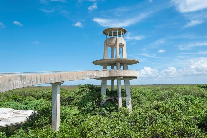 Half-day Everglades National Park Tour and 1-Hour Air Boat Ride - The essential details at a glance