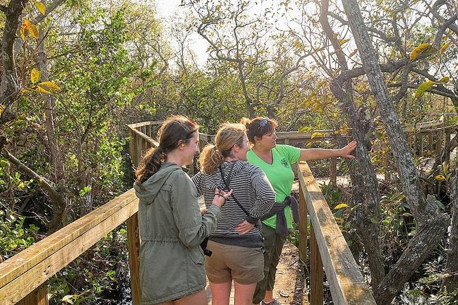 Half-day Everglades National Park Tour and 1-Hour Air Boat Ride - Walking through Everglades National Park