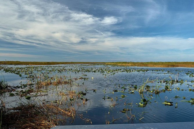 Half-day Everglades National Park Tour and 1-Hour Air Boat Ride - The small airboat and Miccosukee tree islands