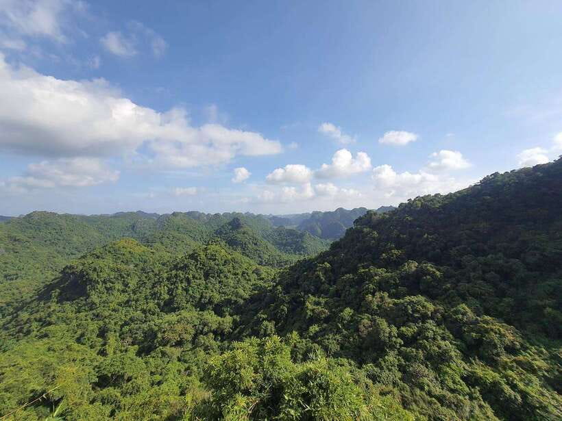 Half Day Hiking to Cat Ba National Park with a Guide - Why this half-day outing works on Cat Ba