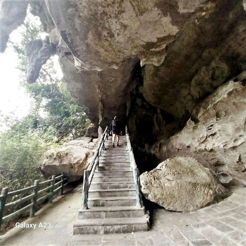 Half Day Hiking to Cat Ba National Park with a Guide - The best time and the value of four hours