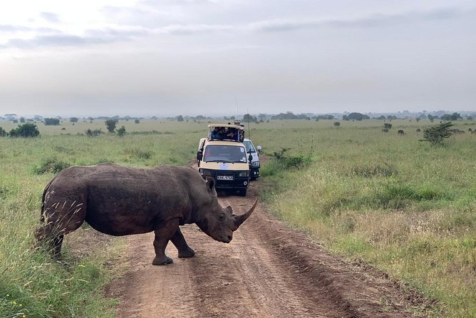 Half-Day Nairobi National Park Safari from Nairobi with Free Pickup - Why Nairobi National Park is worth your morning