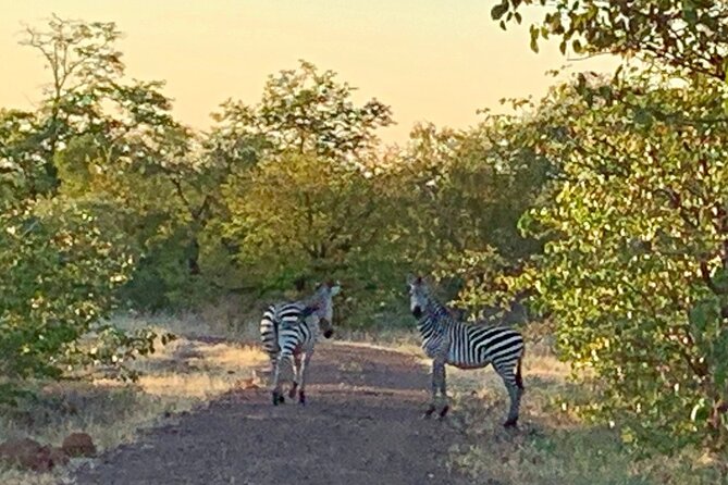 Half-Day Nature Walk in Mosi-oa-Tunya National Park from Livingstone - What the $90 price really covers