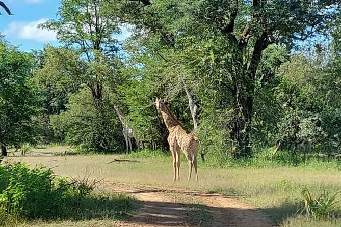 Half-Day Nature Walk in Mosi-oa-Tunya National Park from Livingstone - Fitness, clothing, and timing