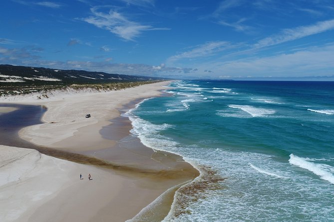 Half-Day Pemberton National Parks Beach and Forest Eco Adventure - Yeagarup Dunes: The Most Playful Stop