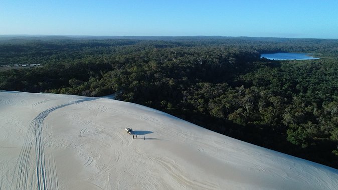 Half-Day Pemberton National Parks Beach and Forest Eco Adventure - Who Will Enjoy This Tour Most
