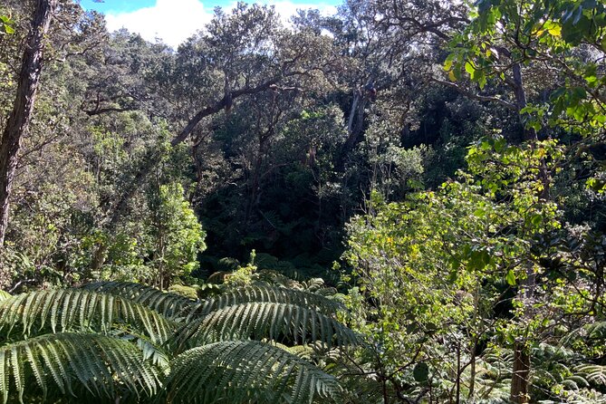 Hawai'i's Volcanoes National Park from Hilo Only - Is $229.99 a Fair Price?