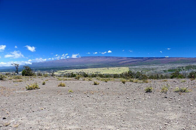 Hawaii Volcanoes National Park and Hilo Highlights Small Group Tour - Kilauea caldera shows an active Earth