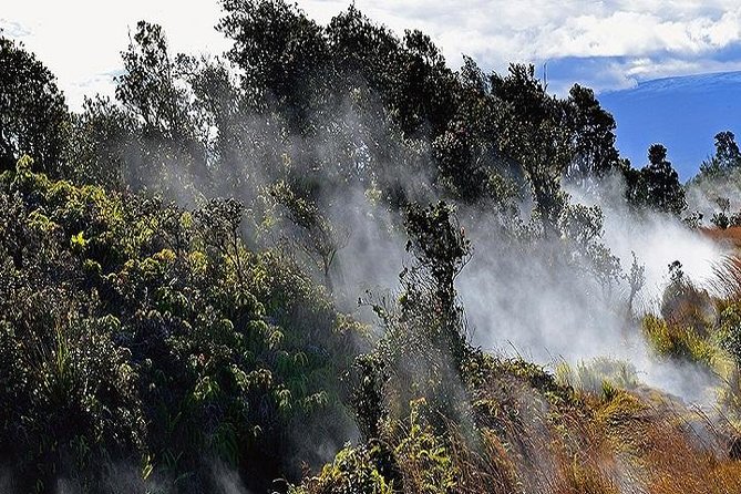 Hawaii Volcanoes National Park Experience Departing from Oahu - Is a $589.99 day trip from Oahu good value?