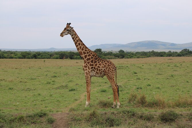 Hell's Gate National Park Private Bike Tour from Nairobi - Lunch at Naivasha Fisherman’s Camp