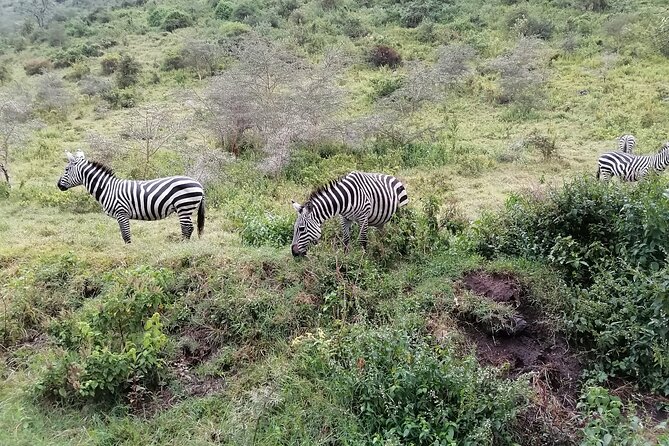 Hell's Gate National Park Private Bike Tour from Nairobi - What the $125 price really covers