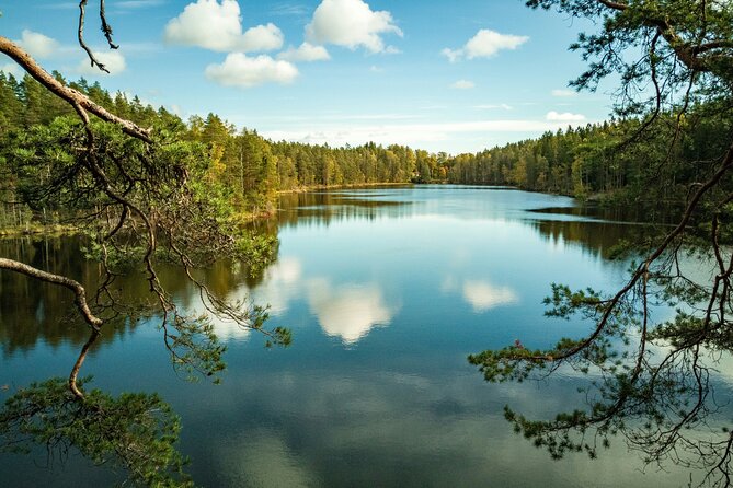 Helsinki: Nuuksio National park hiking with campfire lunch - Five things to know before you book
