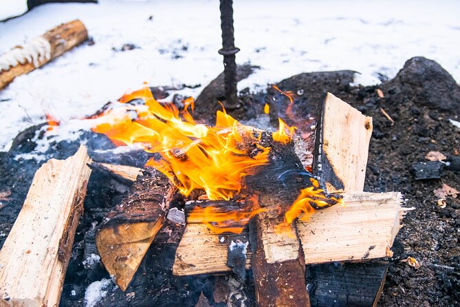 Helsinki: Nuuksio National park hiking with campfire lunch - Forest details that make the walk more than exercise