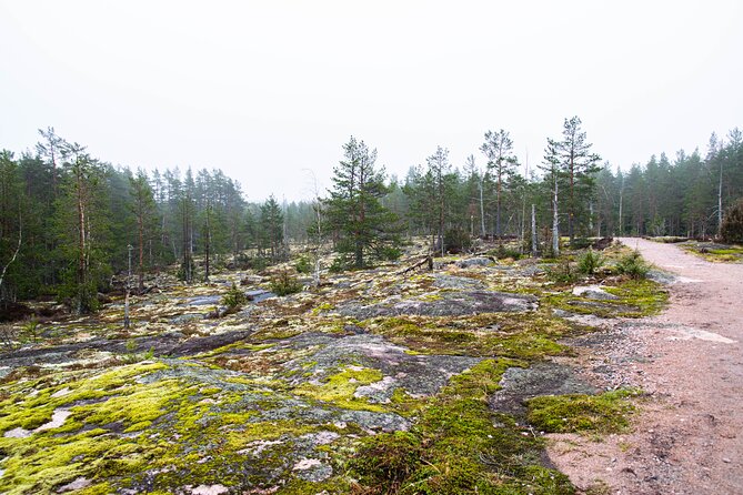 Helsinki: Nuuksio National park hiking with campfire lunch - Campfire lunch, berry juice, and simple Finnish treats