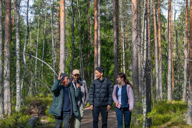 Helsinki: Nuuksio National park hiking with campfire lunch - Is $141 a fair price?