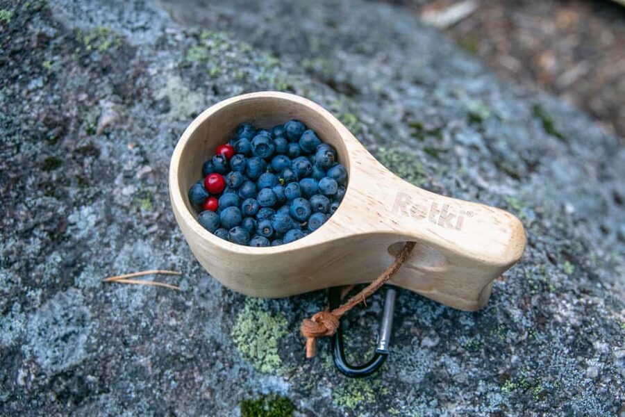 Helsinki: Nuuksio National park hiking with campfire lunch - Weather, clothing, and fitness