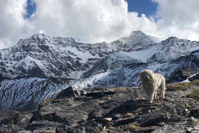 Hiking experience in the High Sierra Nevada National Park - Posiciones del Veleta adds a dose of Spanish history