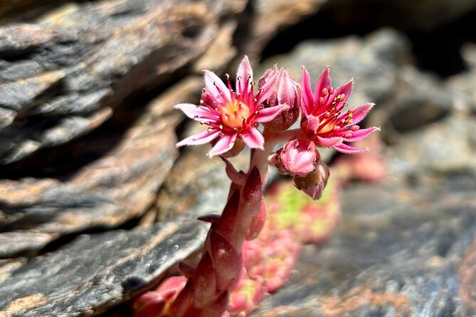 Hiking experience in the High Sierra Nevada National Park - What to pack for six hours on the trail