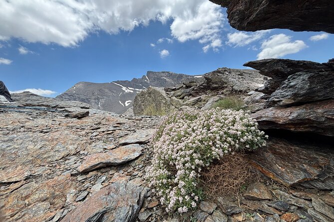 Hiking experience in the High Sierra Nevada National Park - Who should book this hike?