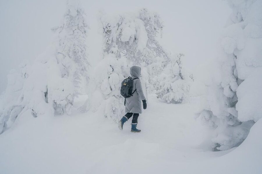 Hiking in Riisitunturi National Park with Photographer - Key things to know before you book