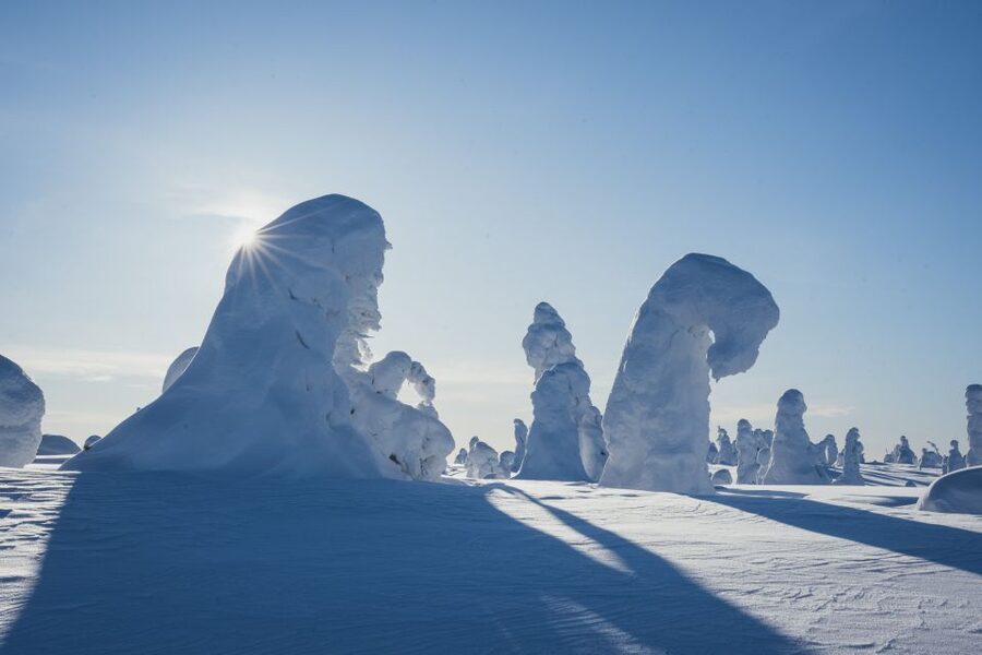 Hiking in Riisitunturi National Park with Photographer - What the $222 price really covers