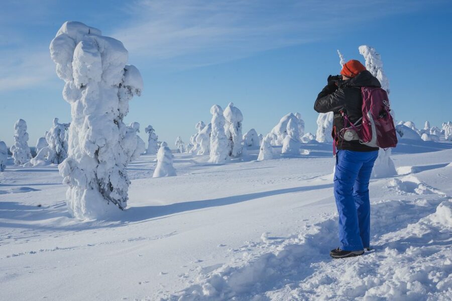 Hiking in Riisitunturi National Park with Photographer - Booking details worth keeping in mind