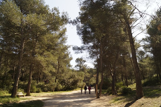 Hiking in the Calanques National park from Marseille - Calanque de Sugiton: the swimming and picnic stop