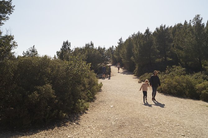 Hiking in the Calanques National park from Marseille - Morgiou, Saint John of God, and the route back