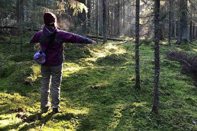 Hiking tour in Nuuksio National Park with meal and snacks - At a glance