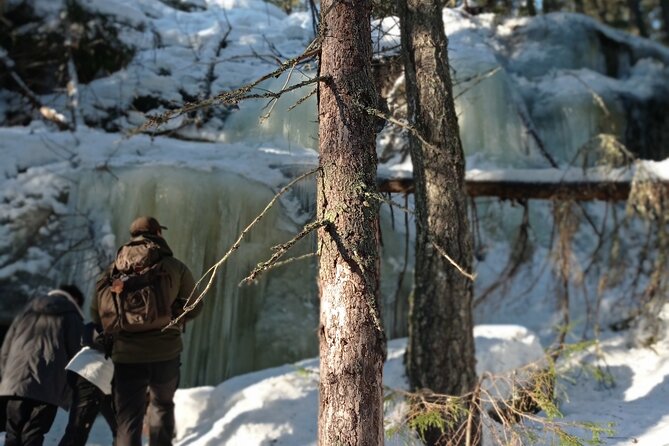Hiking tour in Nuuksio National Park with meal and snacks - Glögi, berry tea, and a soup worth saving room for