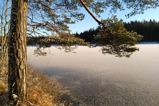 Hiking tour in Nuuksio National Park with meal and snacks - The seasons change the whole outing