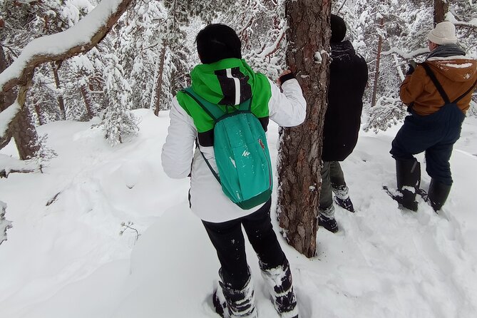 Hiking tour in Nuuksio National Park with meal and snacks - Is $113.72 a fair price?