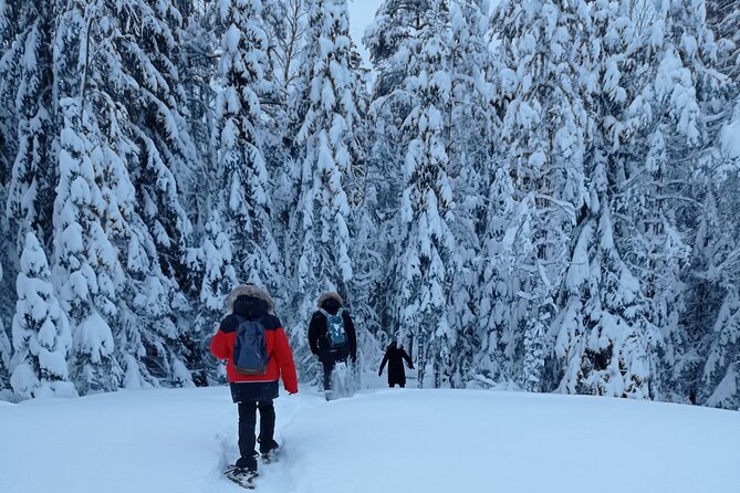 Hiking tour in Nuuksio National Park with meal and snacks - David’s Finnish forest lessons