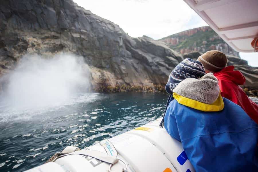 Hobart: Bruny Island Wilderness Coast Eco Cruise with Lunch - Ferry crossings and island scenery