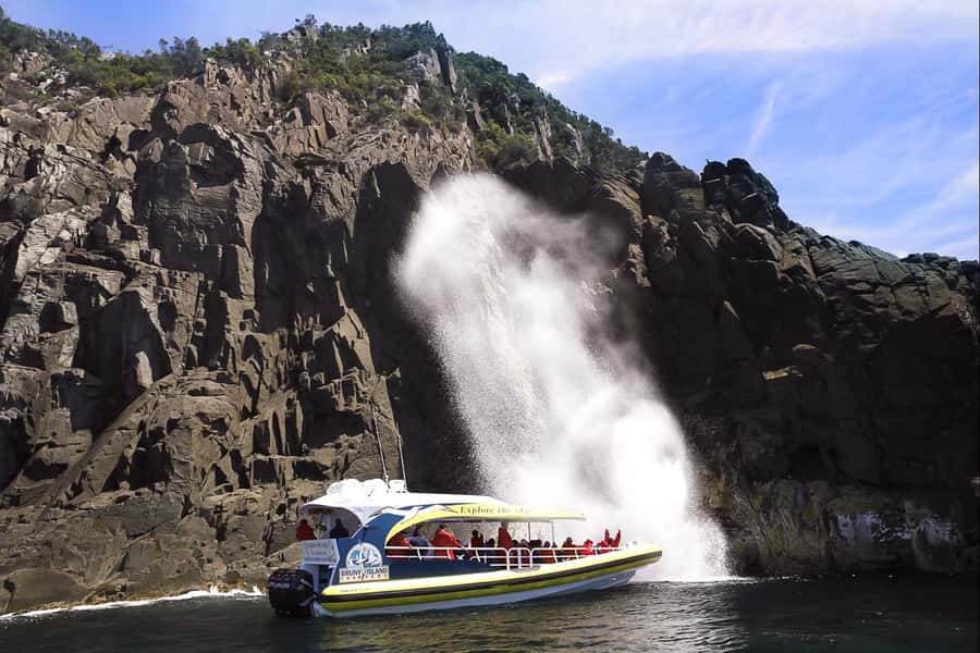 Hobart: Bruny Island Wilderness Coast Eco Cruise with Lunch - Who should book this experience?