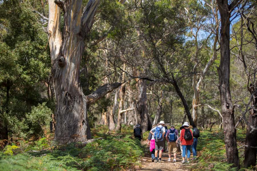 Hobart: Maria Island National Park Active Full-Day Tour - Quick points to know